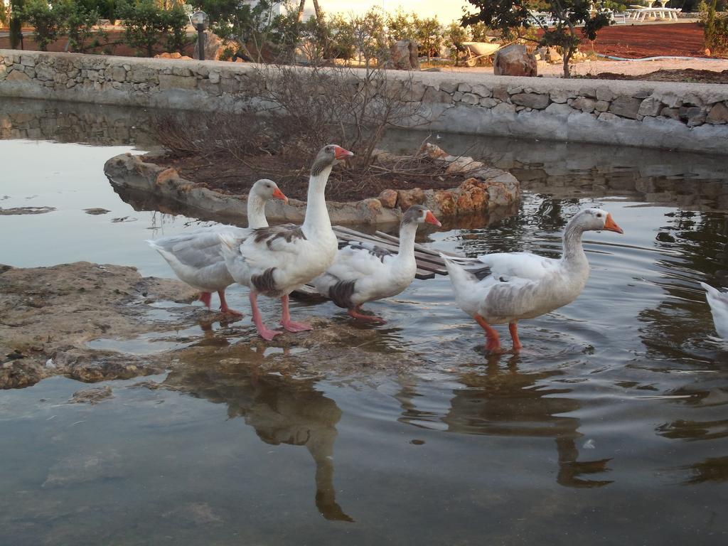 Agriturismo Zio Zac Villa Torre Pali Kültér fotó