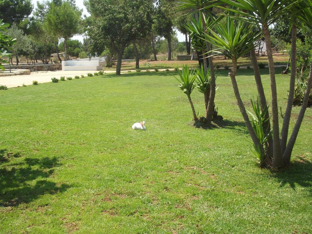 Agriturismo Zio Zac Torre Pali Kültér fotó