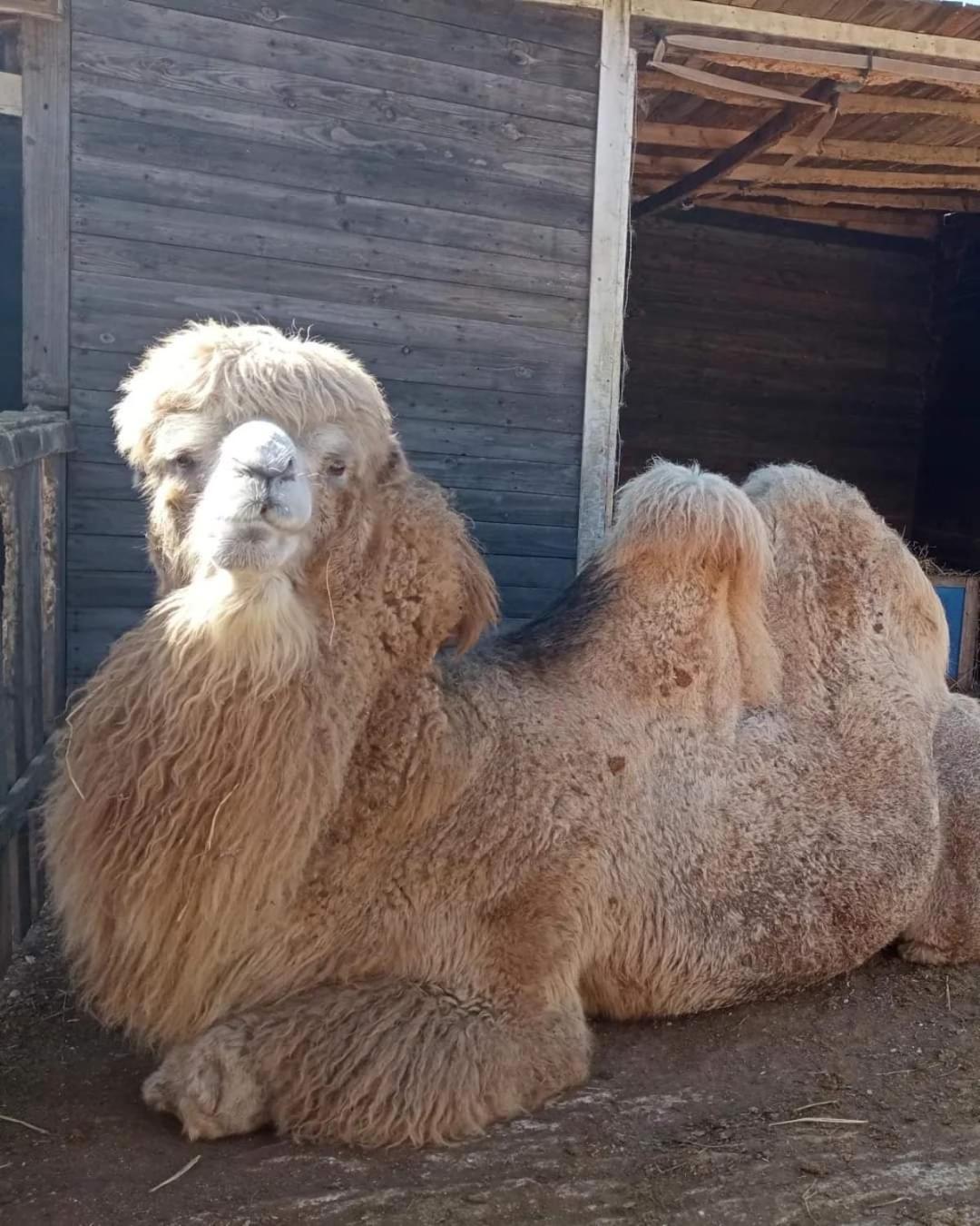 Agriturismo Zio Zac Torre Pali Kültér fotó