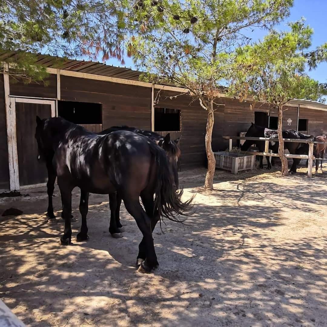 Agriturismo Zio Zac Torre Pali Kültér fotó