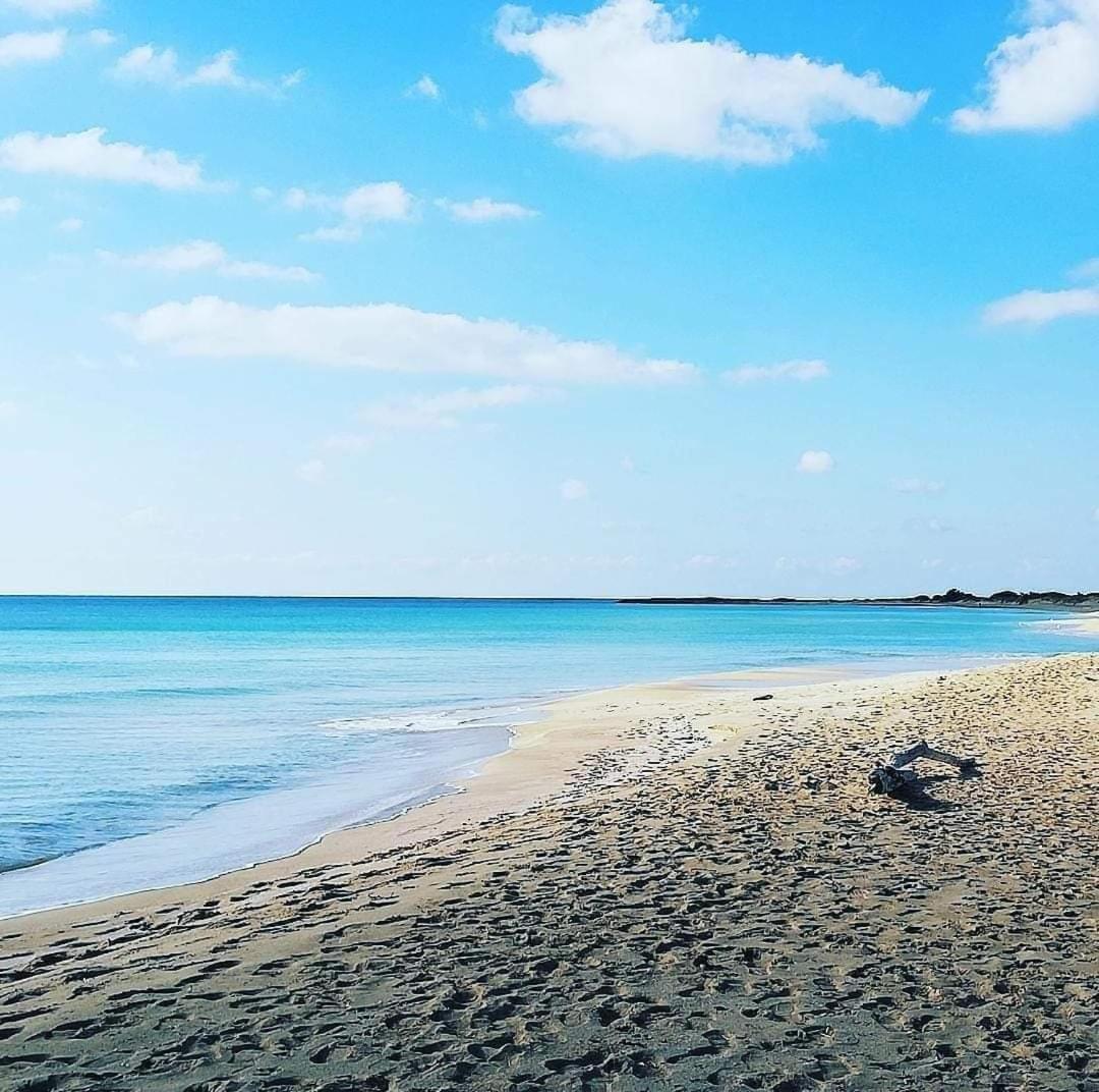 Agriturismo Zio Zac Torre Pali Kültér fotó