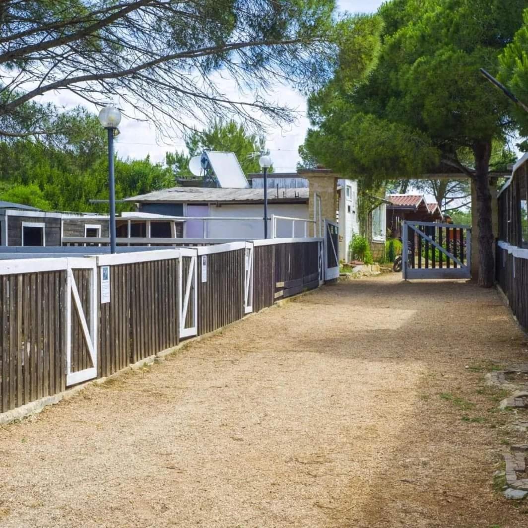 Agriturismo Zio Zac Torre Pali Kültér fotó